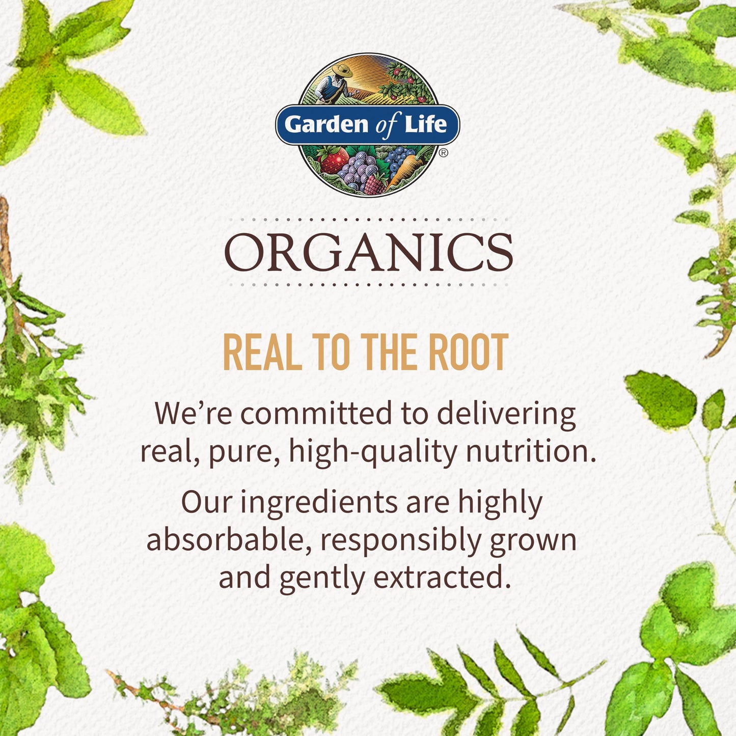 Garden of Life Organics Multivitamin for Women - Women's Once Daily Multi - 60 Tablets, Whole Food Multi with Iron, Biotin, Vegan Organic Vitamin for Women's Health, Energy Hair Skin and Nails